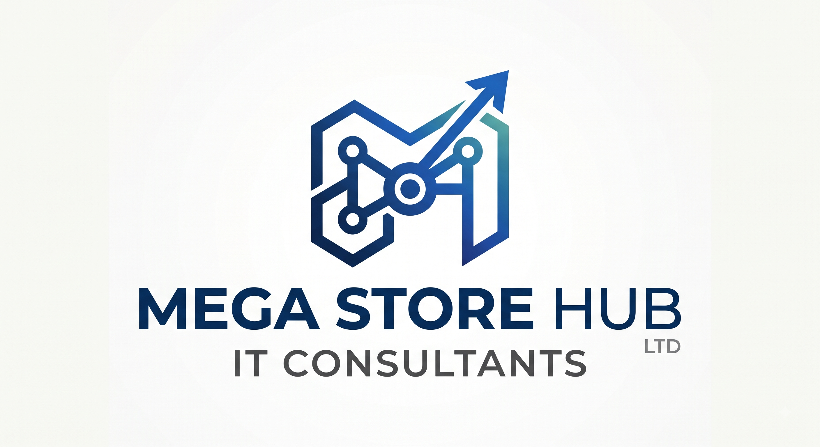 Mega Store Hub Ltd logo